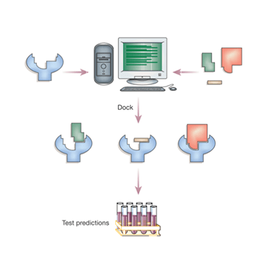 Molecular Docking Based Virtual Screening