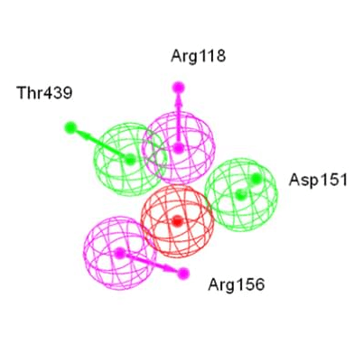 Molecular Docking Based Virtual Screening